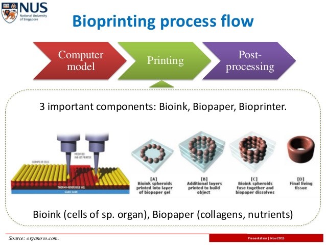 bio-printing process flow